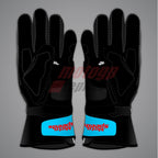 Raul Fernandez gloves