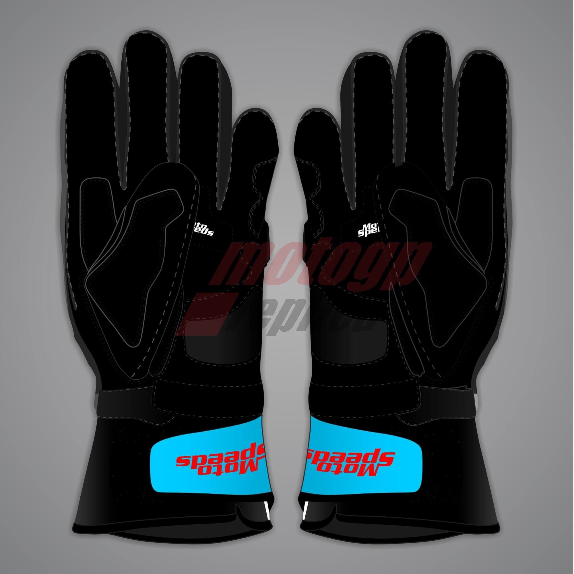 Raul Fernandez gloves