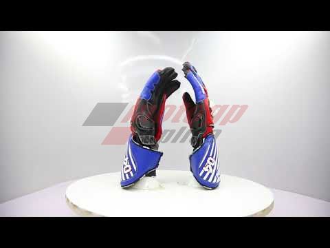 Andrea Dovizioso Gloves MotoGP 2016