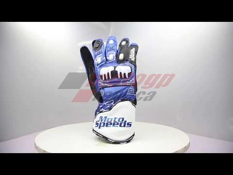 MotoGP Gloves
